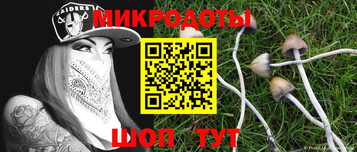Галлюциногенные грибы Psilocybe Набережные Челны